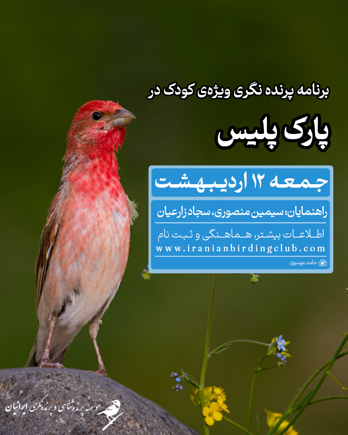 اردیبهشت کودک