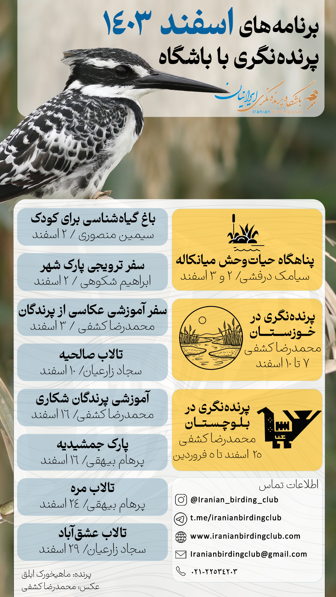 اسفند با باشگاه به پرنده‌نگری بیایید!