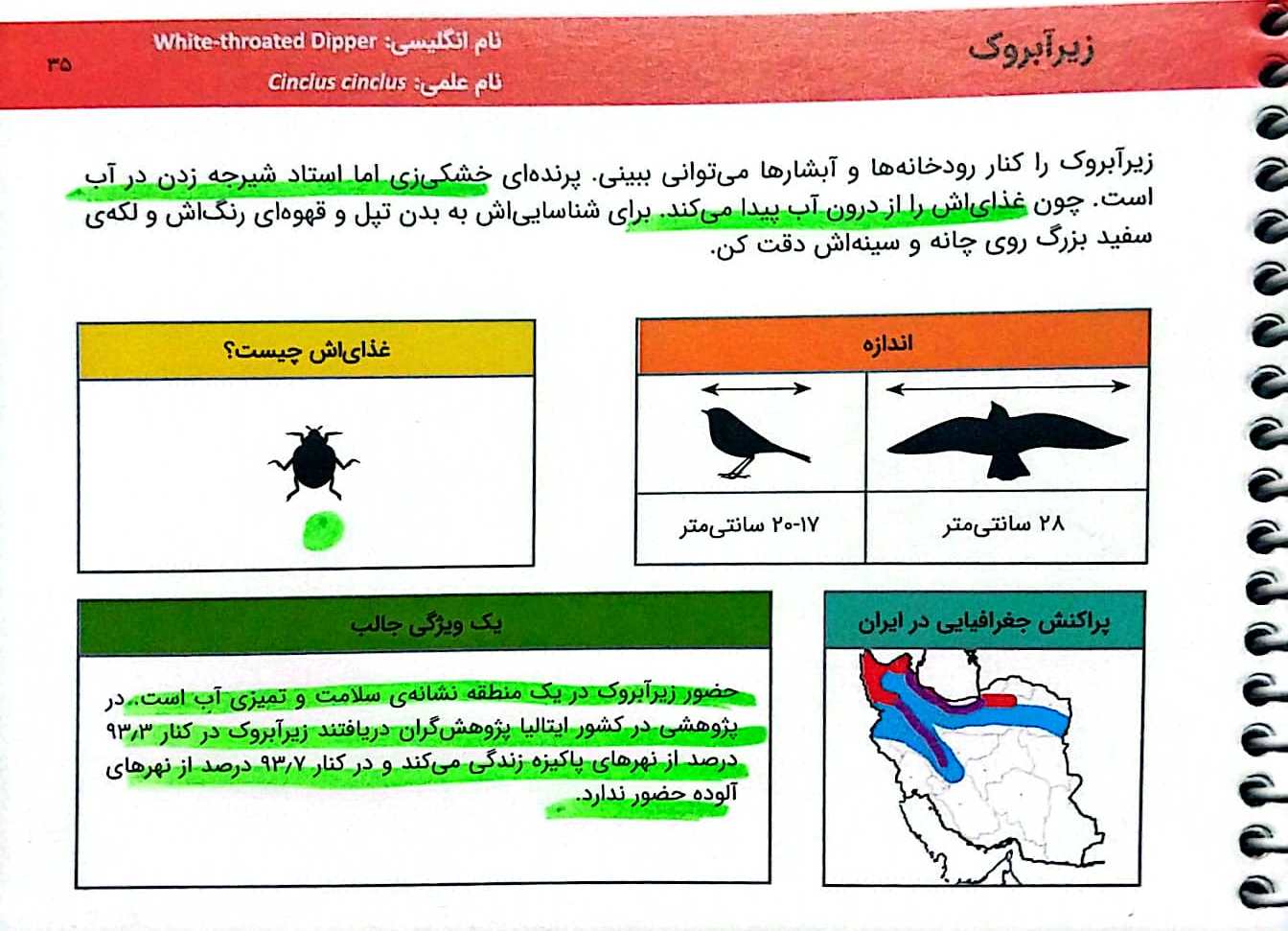 معرفی زیرآبروک