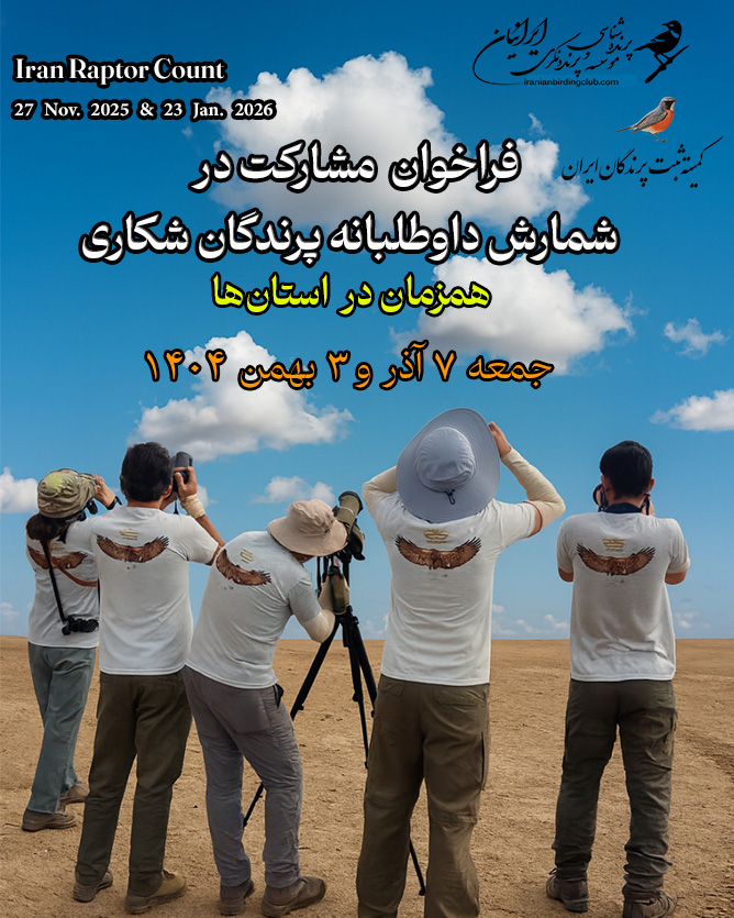 Raptor Count Iran 