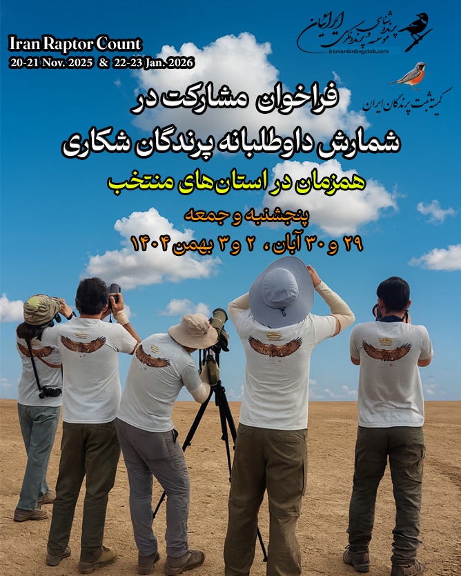 فراخوان داوطلب شمارش پرندگان شکاری 