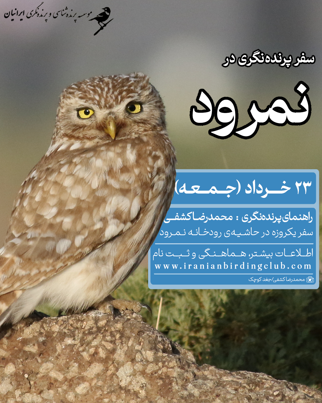نمرود