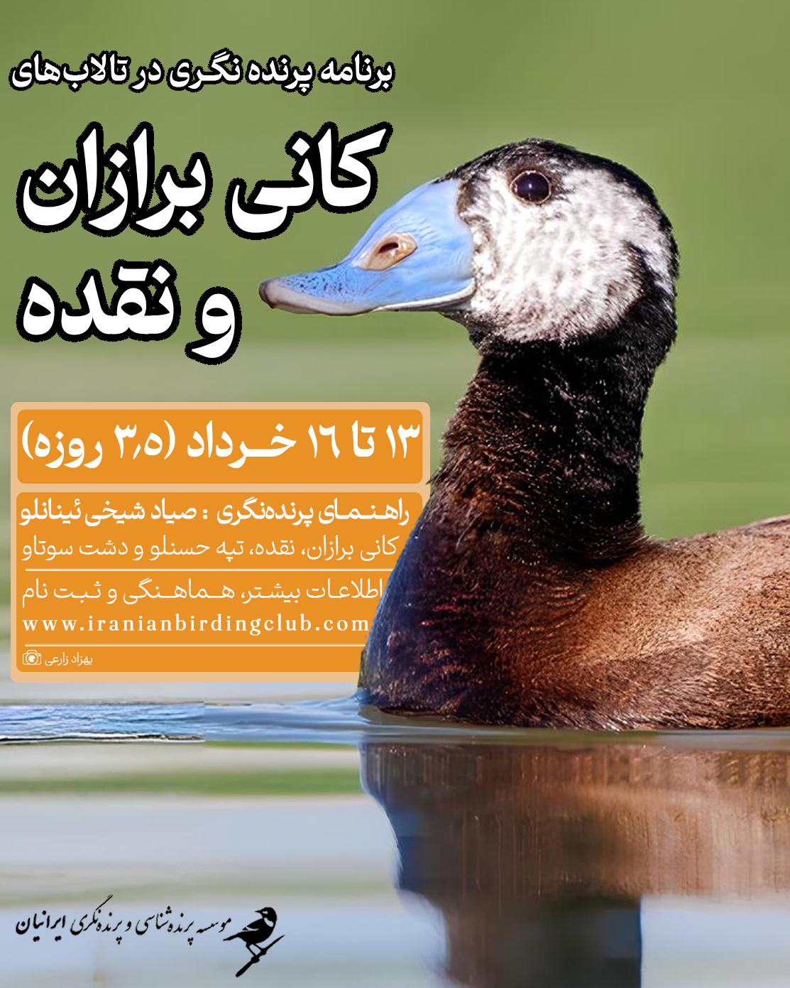 پرنده‌نگری در کانی برازان و نقده