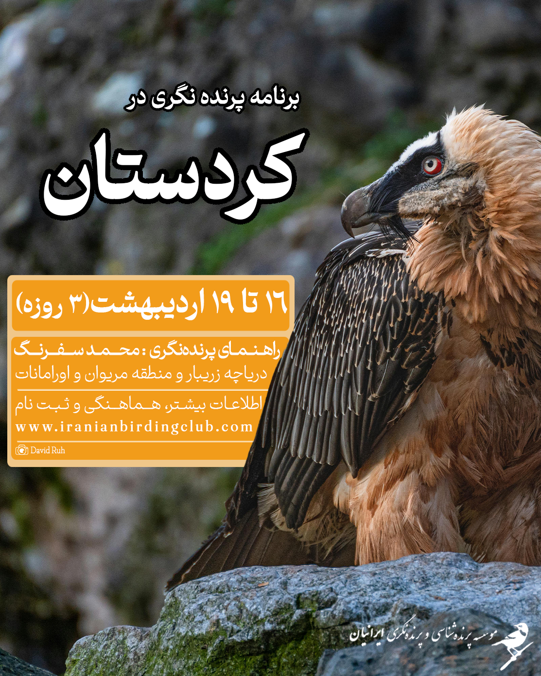 پرنده‌نگری در کردستان