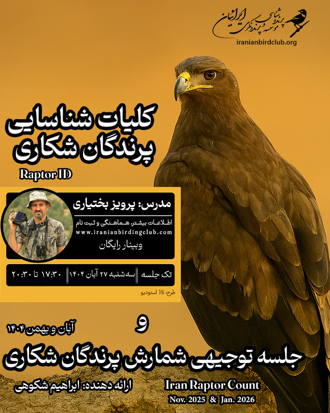  کلیات شناسایی پرندگان شکاری و توجیهی شمارش پرندگان شکاری ایران 