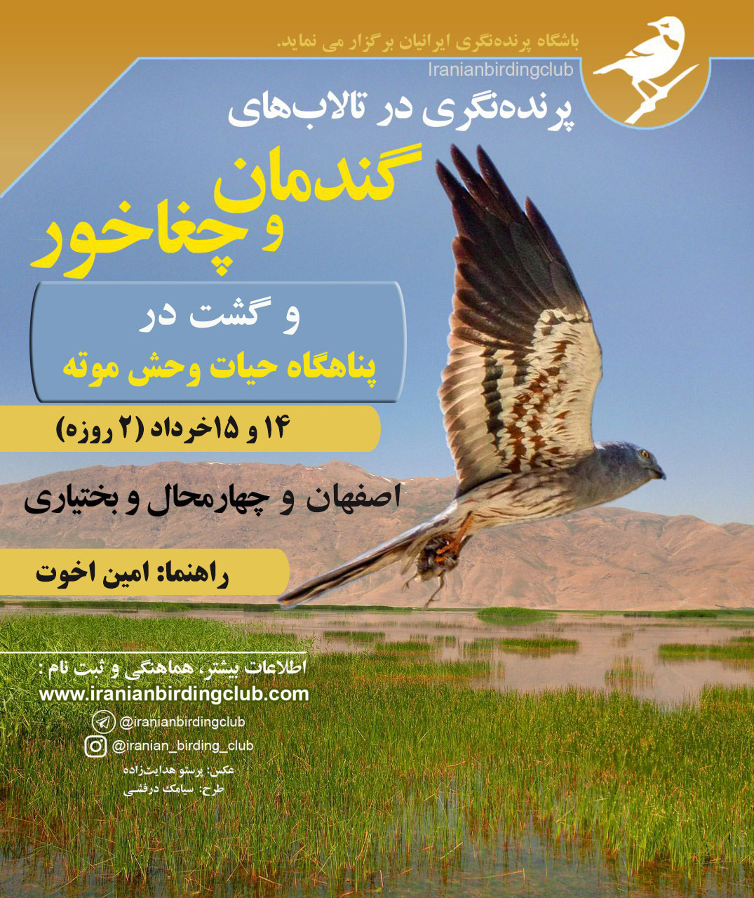 پوستر گندمان