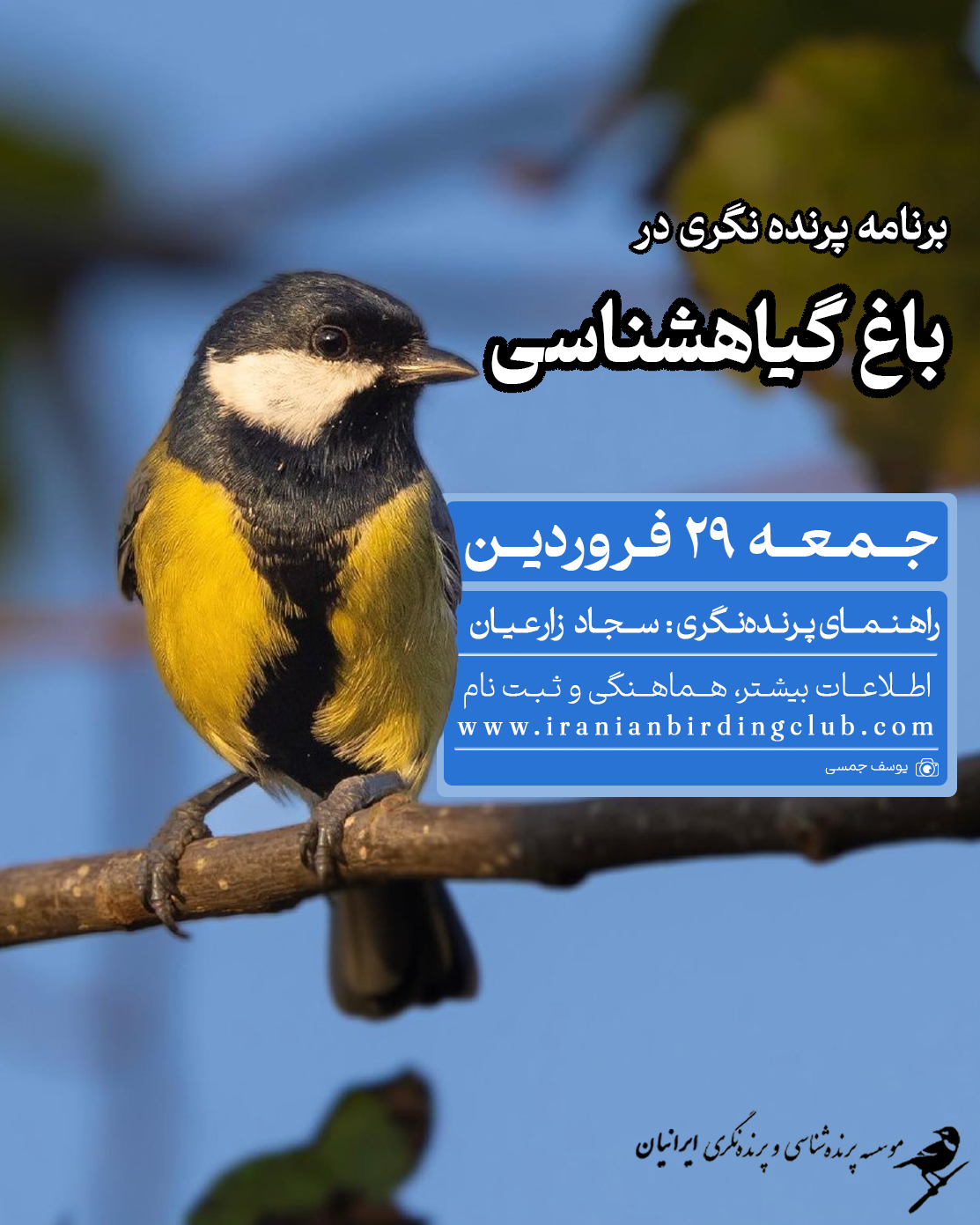 پرنده‌نگری در باغ گیاه‌شناسی تهران