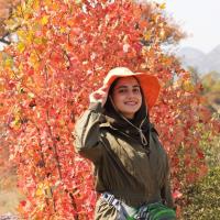 مریمسلیمانی