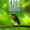 The Secret Life of Birds