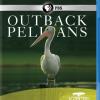 Outback Pelicans