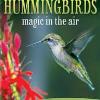 Hummingbirds Magic in the Air