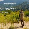 پروژه شمارش پرندگان شکاری 1399 و 1400