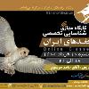 کارگاه شناسایی جغدهای ایران | 10 خرداد 1400