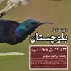 پرنده‌نگری در بلوچستان | 22 تا 27 دی 1404 