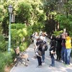 گزارش بیست و هفتمین تور پرنده نگری پارک شهر 96/03/04
