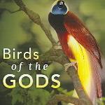 Birds of the Gods