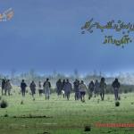 پرنده نگری در پارک ملی بوجاق | 2 روزه 30 آبان 98