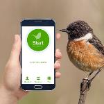 5 دلیل برای اینکه چرا باید از ایبرد (eBird) استفاده کنیم؟