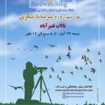 پرنده نگری دوستانه در تالاب قنبرآباد | 24 آبان 98