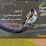 آشنایی با پرنده نگری و پرندگان پیرامون ما |مجازی| 3 روز از 99/05/07