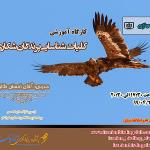 کلیات شناسایی پرندگان شکاری |مجازی| دوشنبه 30 تیرماه 99