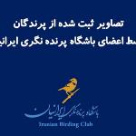 میهمان دنیای پرندگان باشیم