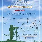سفر پرنده نگری دوستانه در تالاب صالحیه (آبیک) | 2 اسفند 98