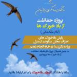 پروژه داوطلبانه حفاظت از بادخورک