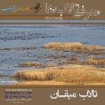 تالاب میقان