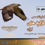 کارگاه پیشرفته شناسایی سارگپه های ایران|مجازی| 11 شهریور 99