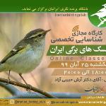 کارگاه پیشرفته شناسایی سسک های برگی ایران|مجازی| 25 آبان 99