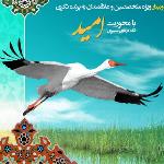 وبینار ویژه متخصصین و علاقمندان به پرنده نگری 99/09/06