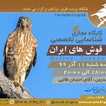 کارگاه پیشرفته شناسایی تخصصی قوش های ایران|مجازی| 11 آذر99