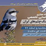 کارگاه پیشرفته شناسایی تخصصی سنگ‌چشم‌های ایران | 5 اسفند 99