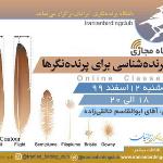 پرنده‌شناسی برای پرنده‌نگرها، سطح یک| 12 اسفند 99