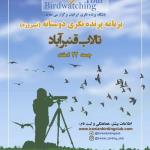 سفر پرنده نگری دوستانه در تالاب قنبرآباد | 22 اسفند 99