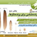 پرنده‌شناسی برای پرنده‌نگرها، بخش دو| 24 فروردین 1400