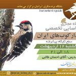 کارگاه شناسایی دارکوب‌های ایران | 12 اردیبهشت 1400