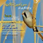 پرنده‌نگری در تالاب کانی برازان و تالاب‌های شهرستان نقده
