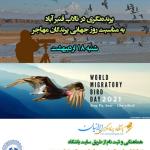 پرنده‌نگری دوستانه به مناسبت روز جهانی پرندگان مهاجر در تالاب قنبرآباد | 18 اردیبهشت 1400