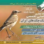 کارگاه ضبط شده شناسایی چک‌چک‌های ایران