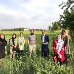 گزارش سفر پرنده‌نگری به کردستان - 14 تا 16 اردیبهشت 1400