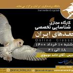 کارگاه شناسایی جغدهای ایران | 10 خرداد 1400