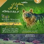 برنامه مشاهده‌ حیات وحش (پستانداران و پرندگان) در پرور و رودبارک | 3 و 4 تیر 1400