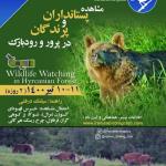 برنامه مشاهده‌ حیات وحش (پستانداران و پرندگان) در پرور و رودبارک | 10 و 11 تیر 1400