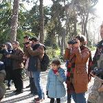 گزارش نهمین تور پرنده نگری پارک شهر 94/12/06