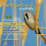 پرنده‌نگری در تالاب کانی برازان و تالاب‌های شهرستان نقده | 12 تا 15 خرداد 1401