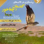 برنامه پرنده‌نگری در تالاب‌های گندمان و چغاخور | 19 و 20 خرداد 1401 (2.5 روزه)