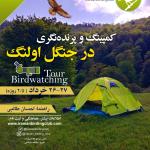 برنامه کمپینگ و پرنده‌نگری در جنگل اولنگ | 26 و 27 خرداد 1401