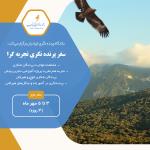 سفر دوم پرنده‌نگری تجربه‌گرا - پروژه هیرکان | 3 تا 5 مهر 1401 (3 روزه)